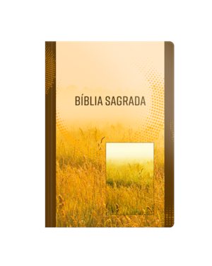 BÍBLIA NVI - LETRA GRANDE - BROCHURA - NEUTRA