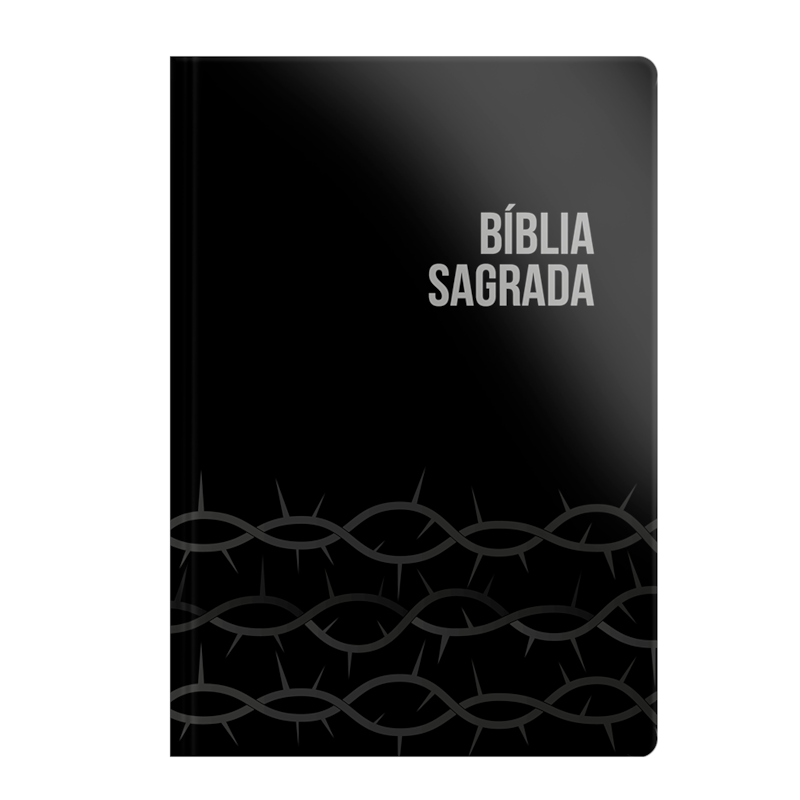 BÍBLIA NVI - LETRA GRANDE - BROCHURA - PRETA