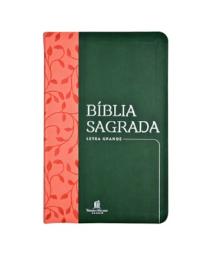 BÍBLIA NVI, LETRA GRANDE, FONTE LEITURA PERFEITA, CAPA LUXO VERDE