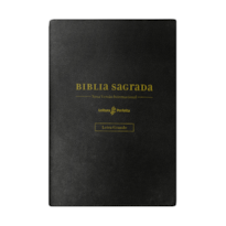 BÍBLIA NVI, LETRA GRANDE, FONTE LEITURA PERFEITA, COM ESPAÇO PARA ANOTAÇÕES, CAPA LUXO PRETA