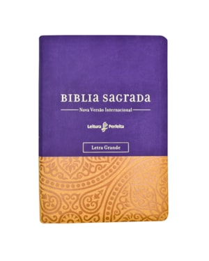 BÍBLIA NVI, LETRA GRANDE, FONTE LEITURA PERFEITA, COM ESPAÇO PARA ANOTAÇÕES, CAPA LUXO ROXA