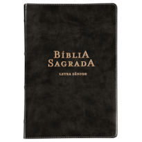 BÍBLIA NVI, LETRA SÊNIOR, CAPA LUXO PRETA, LEITURA PERFEITA