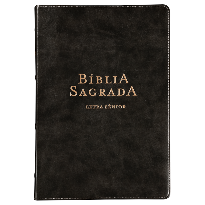 BÍBLIA NVI, LETRA SÊNIOR, CAPA LUXO PRETA, LEITURA PERFEITA