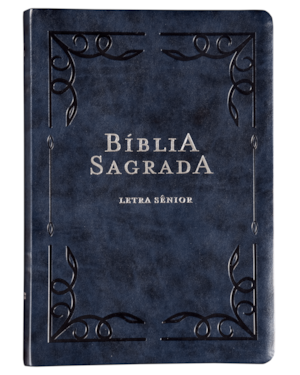 BÍBLIA NVI, LETRA SÊNIOR, FONTE LEITURA PERFEIRA, CAPA LUXO AZUL