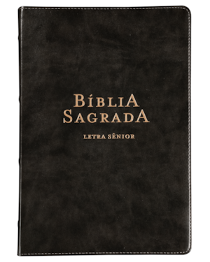 BÍBLIA NVI, LETRA SÊNIOR, FONTE LEITURA PERFEIRA, CAPA LUXO PRETA