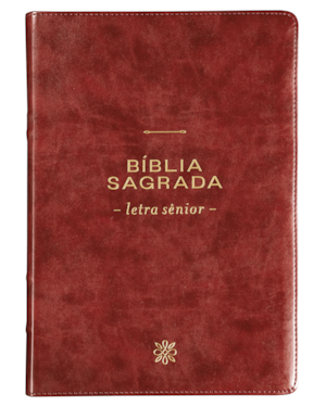 BÍBLIA NVI, LETRA SÊNIOR, FONTE LEITURA PERFEIRA, CAPA LUXO VINHO