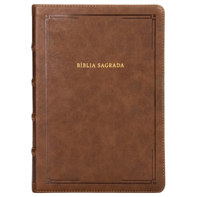 BÍBLIA NVI REFERÊNCIA, CAPA LUXO MARROM, BARROCA, LETRAS DE JESUS EM AZUL E REFERÊNCIAS CRUZADAS, LEITURA PERFEITA
