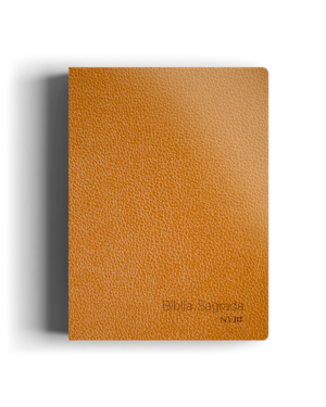 BÍBLIA NVI SLIM COMPACTA LUXO LARANJA: MAIS LEVE, MAIS PRÁTICA MESMO CONTEÚDO!