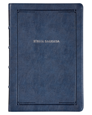 BÍBLIA NVI SLIM, LETRA GRANDE, FONTE LEITURA PERFEITA, CAPA LUXO AZUL