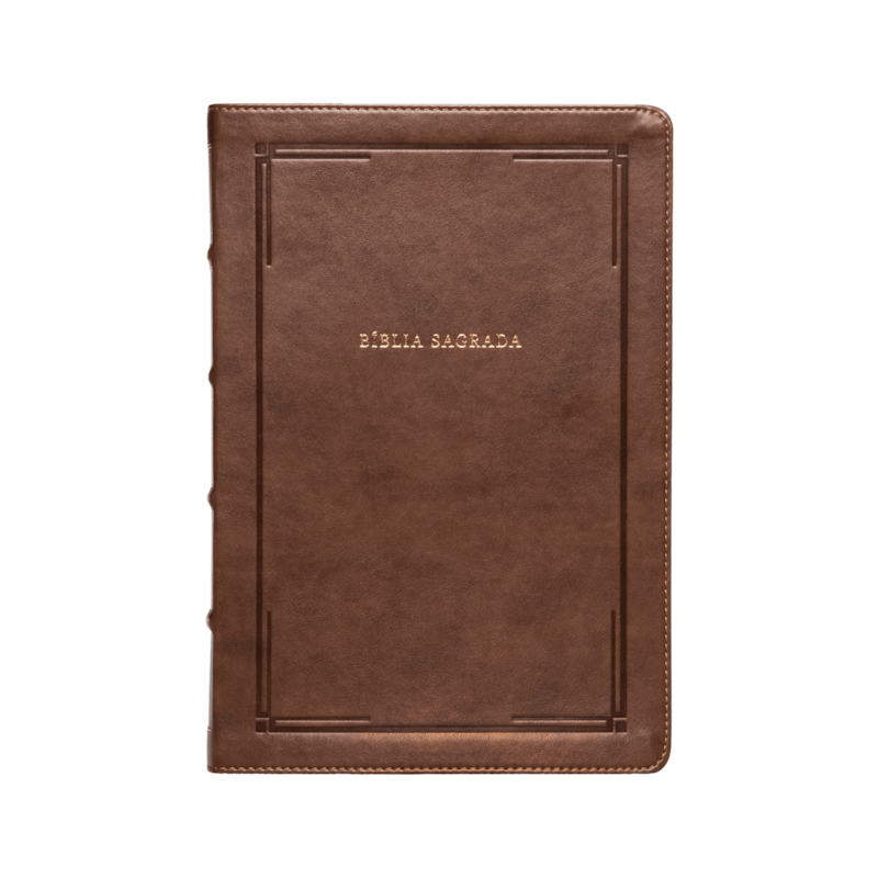 BÍBLIA NVI SLIM, LETRA GRANDE, FONTE LEITURA PERFEITA, CAPA LUXO MARROM BARROCA
