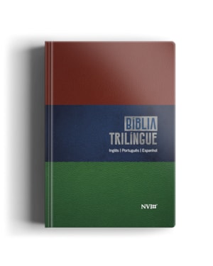 BÍBLIA NVI - TRILÍNGUE EXTRA GIGANTE - NEUTRA: UM LIVRO 3 LÍNGUAS.