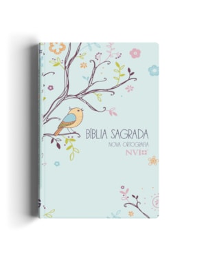 BÍBLIA NVI - UM TEMPO ESPECIAL COM DEUS - LETRA GRANDE