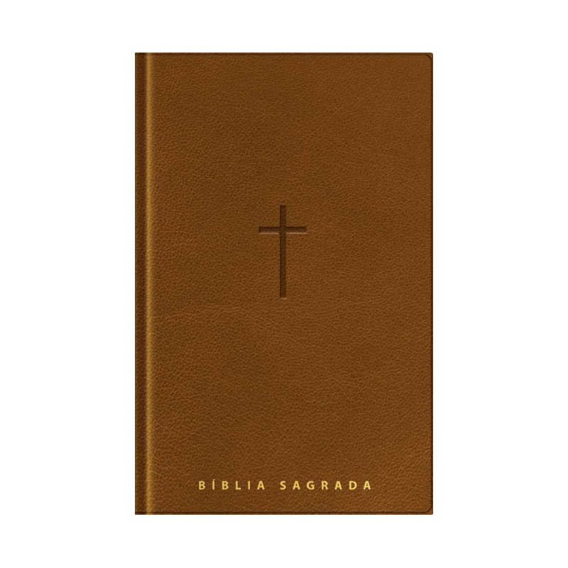 Bíblia NVT - Letra Gigante - Caramelo