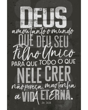 BÍBLIA NVT LETRA NORMAL - JOÃO 3.16 (CHUMBO)
