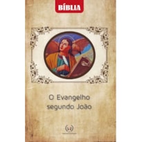 BÍBLIA O EVANGELHO SEGUNDO JOÃO