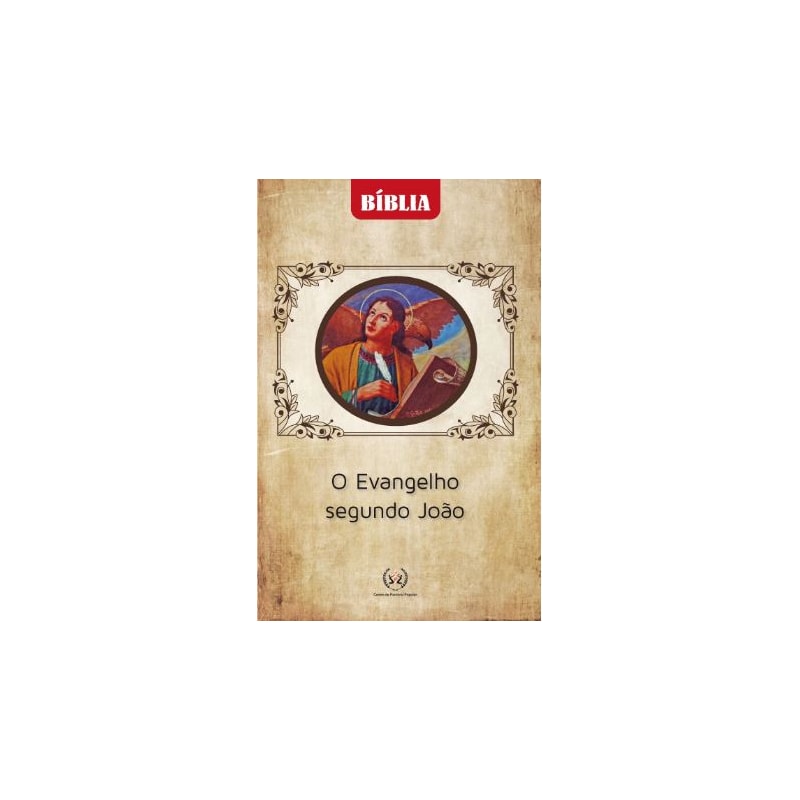 BÍBLIA O EVANGELHO SEGUNDO JOÃO