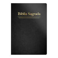 BÍBLIA RC LETRA GRANDE SEMI LUXO PRETA