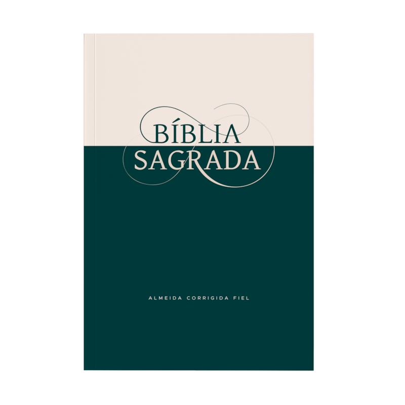 BÍBLIA SAGRADA ACF, BROCHURA, MIOLO ECONÔMICO, CLÁSSICA