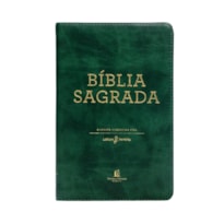 BÍBLIA SAGRADA ACF, CAPA LUXO VERDE, LEITURA PERFEITA