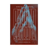 BÍBLIA SAGRADA ACF, ECONÔMICA, CAPA DURA, ORAÇÃO