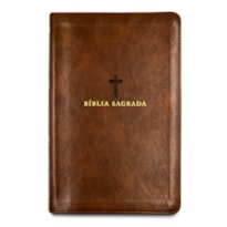 BÍBLIA SAGRADA ACF, LETRA GRANDE, CAPA LUXO MARROM, LEITURA PERFEITA