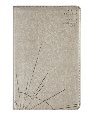 BÍBLIA SAGRADA ACF SLIM, CAPA LUXO CINZA, LEITURA PERFEITA