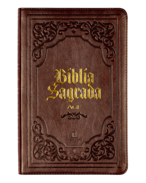 BÍBLIA SAGRADA ACF SLIM, CAPA LUXO MARROM, LEITURA PERFEITA
