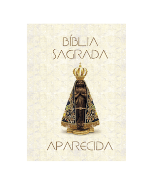 BÍBLIA SAGRADA APARECIDA - SANTUÁRIO NACIONAL - BOLSO