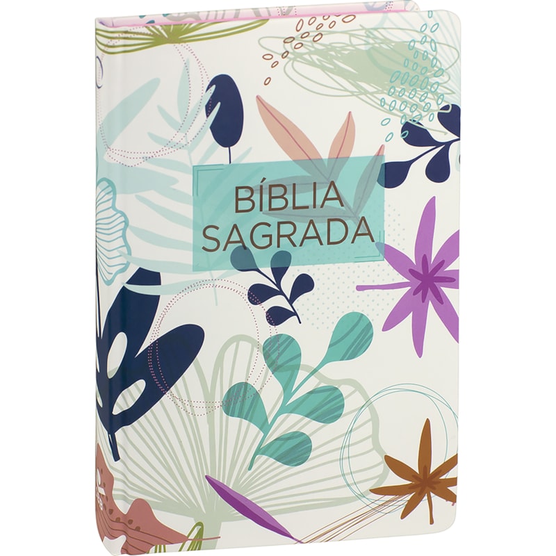 BÍBLIA SAGRADA ARA: ALMEIDA REVISTA E ATUALIZADA (ARA)
