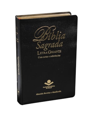 BÍBLIA SAGRADA ARA LETRA GIGANTE: ALMEIDA REVISTA E ATUALIZADA (ARA)