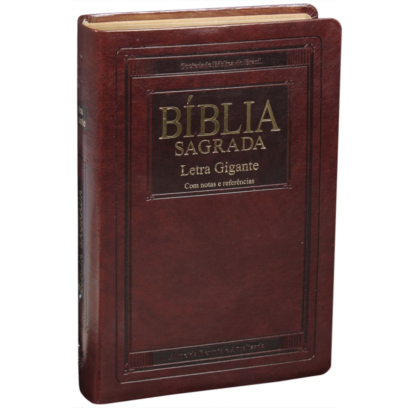 BÍBLIA SAGRADA ARA LETRA GIGANTE COM ÍNDICE: ALMEIDA REVISTA E ATUALIZADA (ARA)
