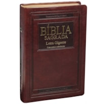 BÍBLIA SAGRADA ARA LETRA GIGANTE COM ÍNDICE - SBB: ALMEIDA REVISTA E ATUALIZADA (ARA)