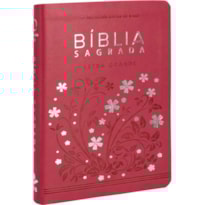 BÍBLIA SAGRADA ARA LETRA GRANDE: ALMEIDA REVISTA E ATUALIZADA (ARA)