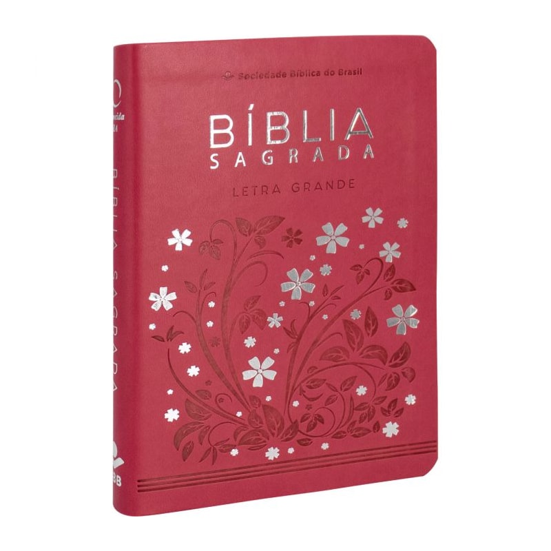 BÍBLIA SAGRADA ARA LETRA GRANDE: ALMEIDA REVISTA E ATUALIZADA (ARA)
