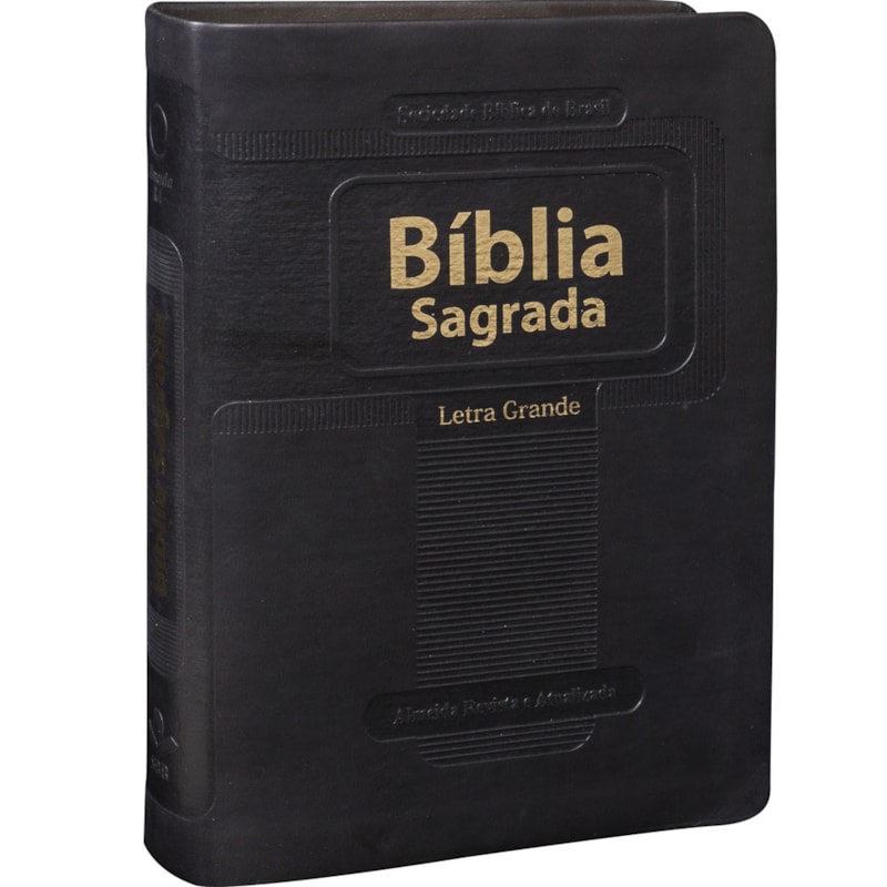 BÍBLIA SAGRADA ARA LETRA GRANDE: ALMEIDA REVISTA E ATUALIZADA (ARA)