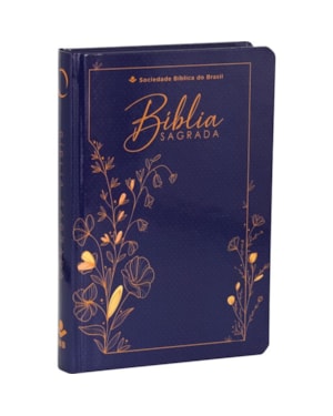 BÍBLIA SAGRADA ARA LETRA GRANDE: ALMEIDA REVISTA E ATUALIZADA (ARA)