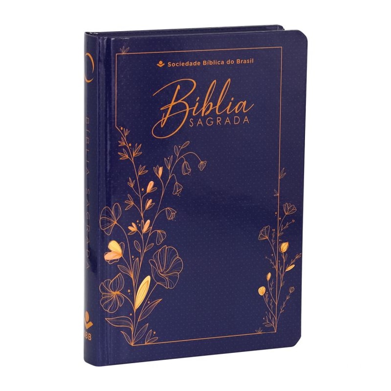 BÍBLIA SAGRADA ARA LETRA GRANDE: ALMEIDA REVISTA E ATUALIZADA (ARA)