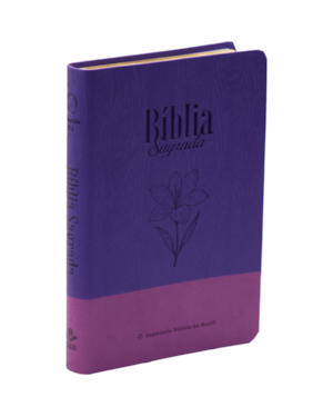 BÍBLIA SAGRADA ARA, LETRA GRANDE, CAPA COURO SINTÉTICO: ALMEIDA REVISTA E ATUALIZADA (ARA)