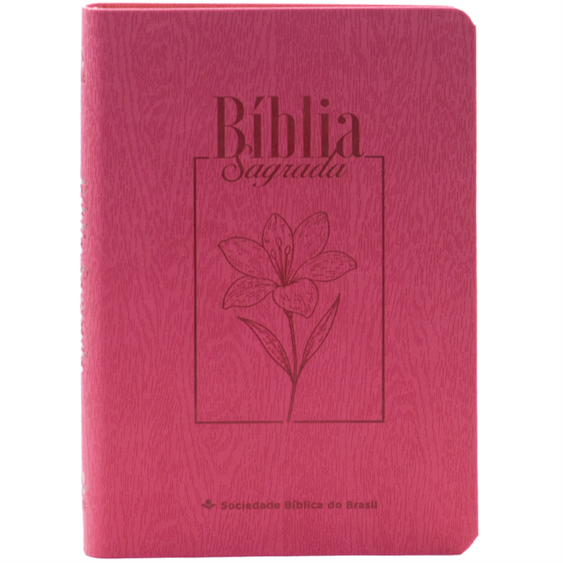 BÍBLIA SAGRADA ARA LETRA GRANDE LEGNO GOIABA: ALMEIDA REVISTA E ATUALIZADA (ARA)