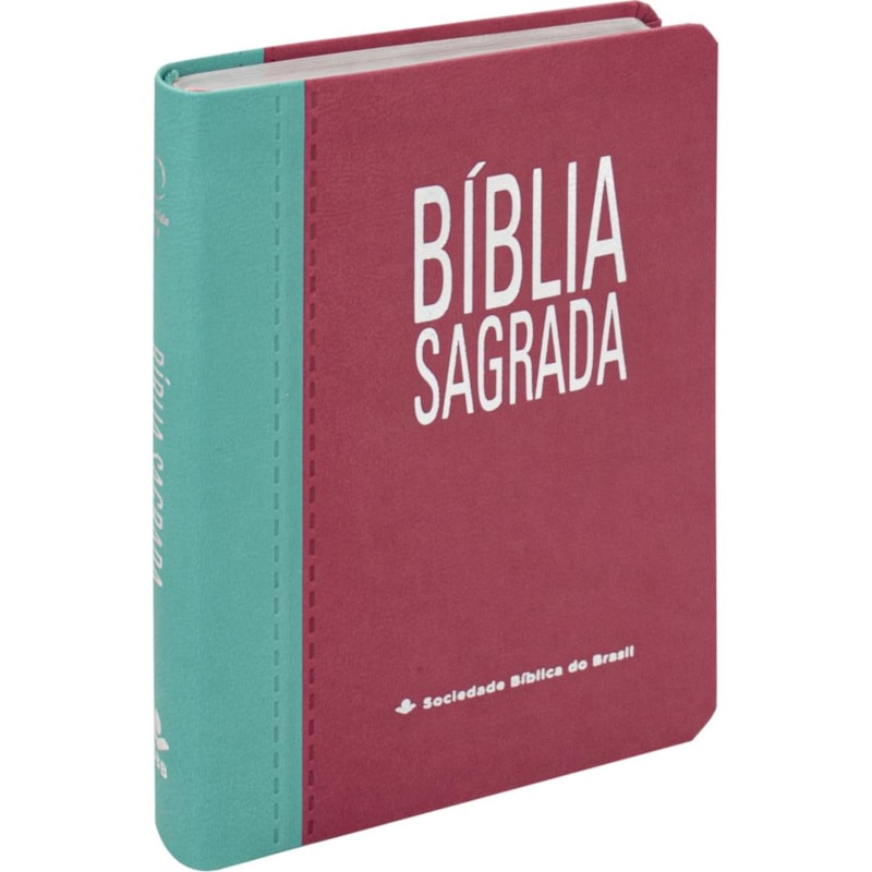 BÍBLIA SAGRADA ARA PARA MULHER, LETRA GIGANTE, COM ÍNDICE, CAPA COURO SINTÉTICO ROSA DUOTONE: ALMEIDA REVISTA E ATUALIZADA (ARA)