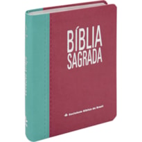 BÍBLIA SAGRADA ARA PARA MULHER, LETRA GIGANTE, COM MAPA, COM ÍNDICE, CAPA COURO SINTÉTICO ROSA DUOTONE: ALMEIDA REVISTA E ATUALIZADA (ARA)