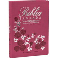 BÍBLIA SAGRADA ARC, LETRA EXTRAGIGANTE, COM PALAVRAS DE JESUS DESTACADAS, COM MAPA, COM ÍNDICE, CAPA COURO SINTÉTICO ROSA: ALMEIDA REVISTA E CORRIGIDA (ARC)