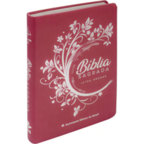BÍBLIA SAGRADA ARC, PARA ADOLESCENTE, LETRA GRANDE, CAPA COURO SINTÉTICO ROSA: ALMEIDA REVISTA E CORRIGIDA (ARC)