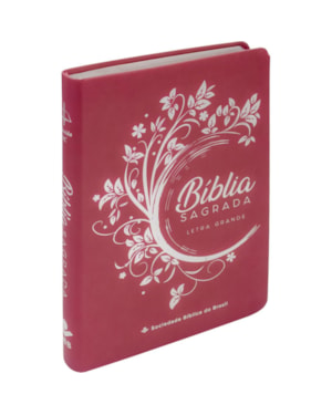 BÍBLIA SAGRADA ARC, PARA ADOLESCENTE, LETRA GRANDE, CAPA COURO SINTÉTICO ROSA: ALMEIDA REVISTA E CORRIGIDA (ARC)
