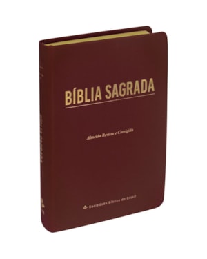 BÍBLIA SAGRADA ARC PARA MULHER, LETRA GIGANTE, COM PALAVRAS DE JESUS DESTACADAS, CAPA COURO SINTÉTICO VINHO