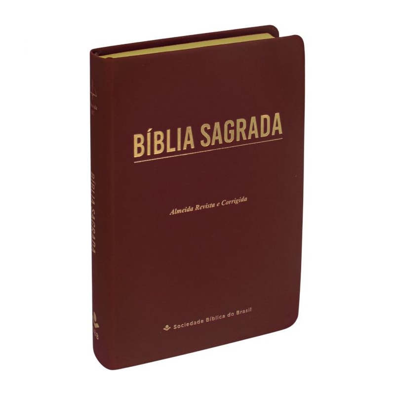 BÍBLIA SAGRADA ARC PARA MULHER, LETRA GIGANTE, COM PALAVRAS DE JESUS DESTACADAS, CAPA COURO SINTÉTICO VINHO