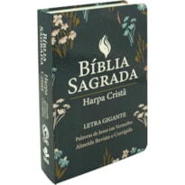 BÍBLIA SAGRADA ARC PARA MULHER, LETRA GIGANTE, COM PALAVRAS DE JESUS DESTACADAS, COM HARPA CRISTÃ, COM MAPA, CAPA SEMI FLEXÍVEL VERDE: ALMEIDA REVISTA E CORRIGIDA (ARC)