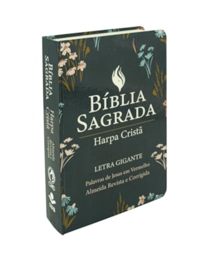 BÍBLIA SAGRADA ARC PARA MULHER, LETRA GIGANTE, COM PALAVRAS DE JESUS DESTACADAS, COM HARPA CRISTÃ, COM MAPA, CAPA SEMI FLEXÍVEL VERDE: ALMEIDA REVISTA E CORRIGIDA (ARC)