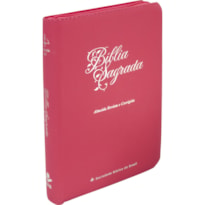 BÍBLIA SAGRADA ARC PARA MULHER, LETRA GIGANTE, COM PALAVRAS DE JESUS DESTACADAS, COM MAPA, COM ZÍPER, CAPA COURO SINTÉTICO DOURADA: ALMEIDA REVISTA E CORRIGIDA (ARC)