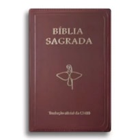 BÍBLIA SAGRADA CAPA COM ZÍPER - TRADUÇÃO OFICIAL